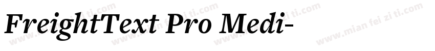 FreightText Pro Medi字体转换